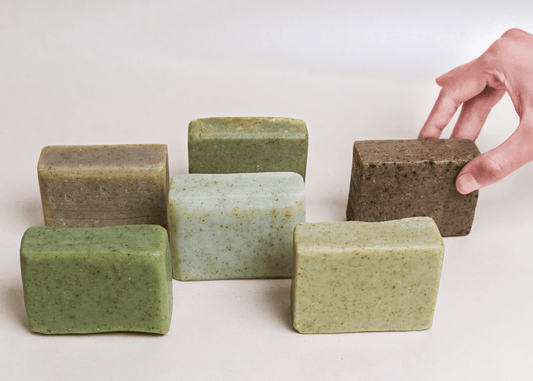 Earth Day Everyday - Havana & Co.