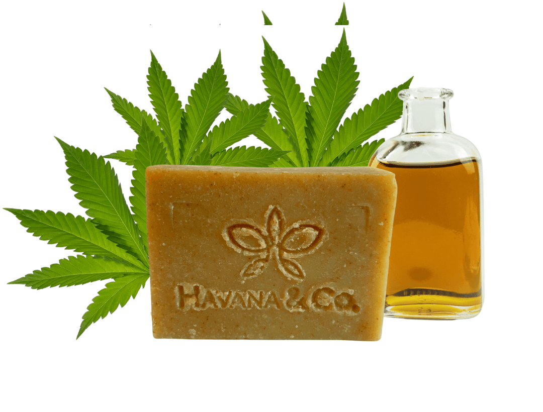 Nature’s Harmony | Havana & Co. – Soothing Hemp Oil Soap - Havana & Co.