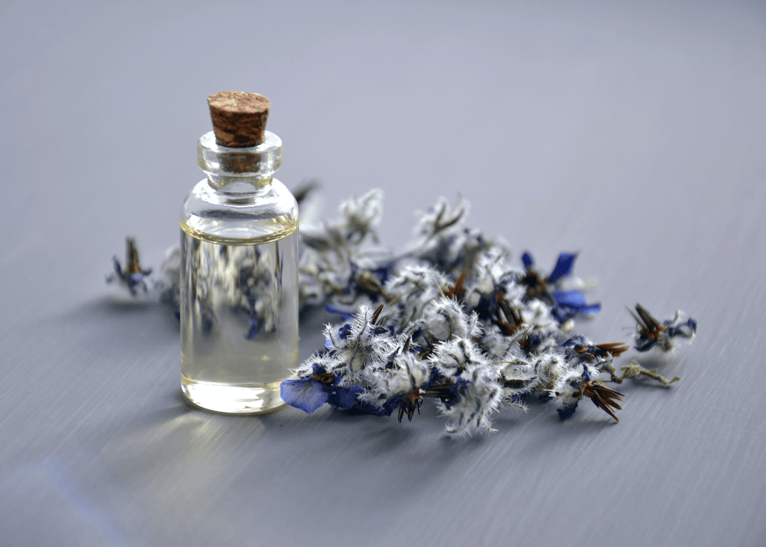 THE BENEFITS OF LAVENDER - Havana & Co.
