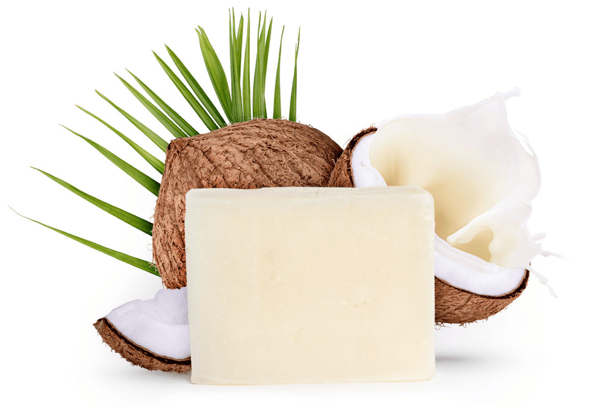 Nourishing Coconut Oasis - Natural Handmade Soap - Havana & Co.