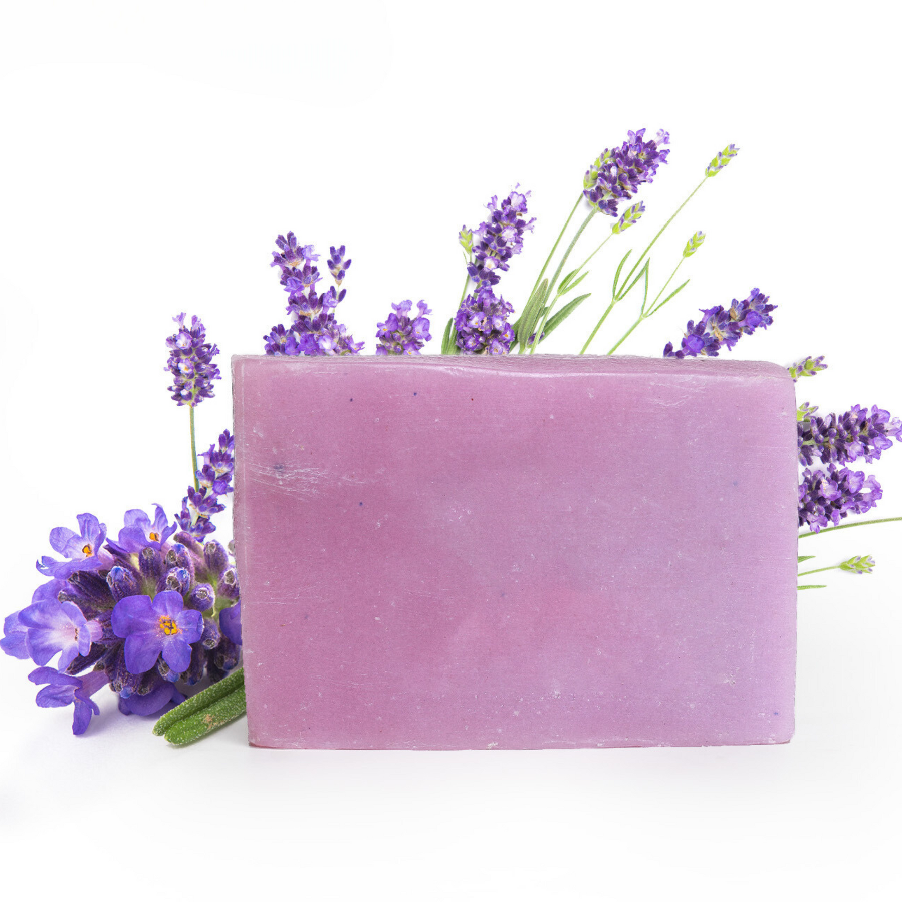 Calming Lavender Escape | Havana & Co. – Soothing Handmade Soap