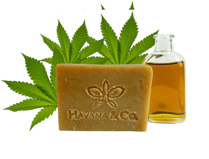 Nature’s Harmony | Havana & Co. – Soothing Hemp Oil Soap